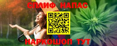 молекула духа Ставрополь