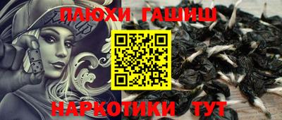 молекула духа Ставрополь
