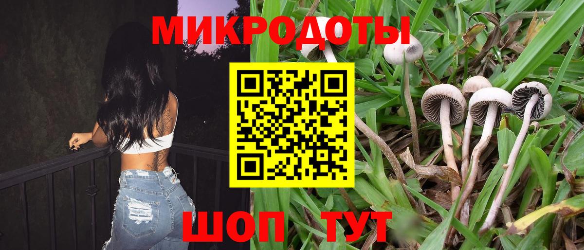 Галлюциногенные грибы Cubensis Отрадный