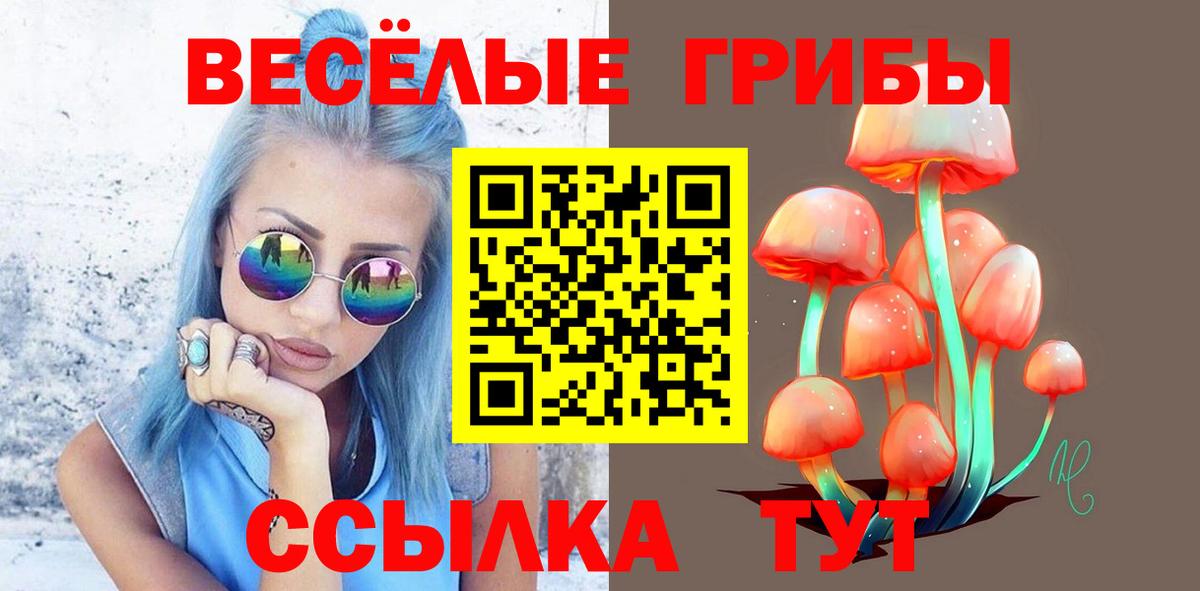Галлюциногенные грибы Psilocybe  Вход с VPN  Отрадный 