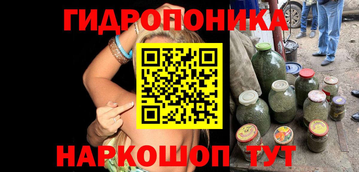 Каннабис Amnesia Отрадный